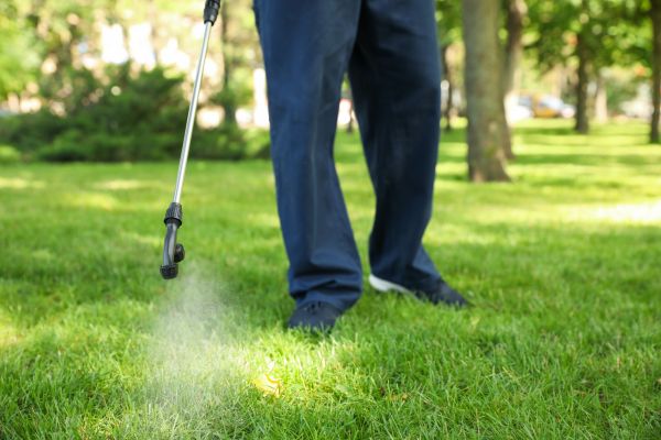 Frisco Lawn Treatment