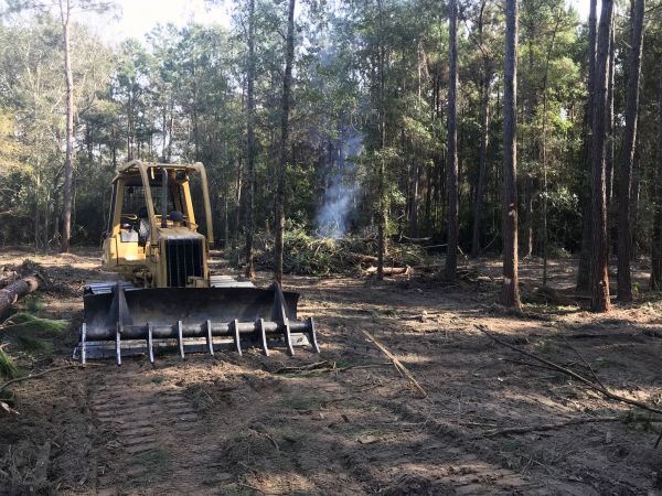 Frisco Land Clearing